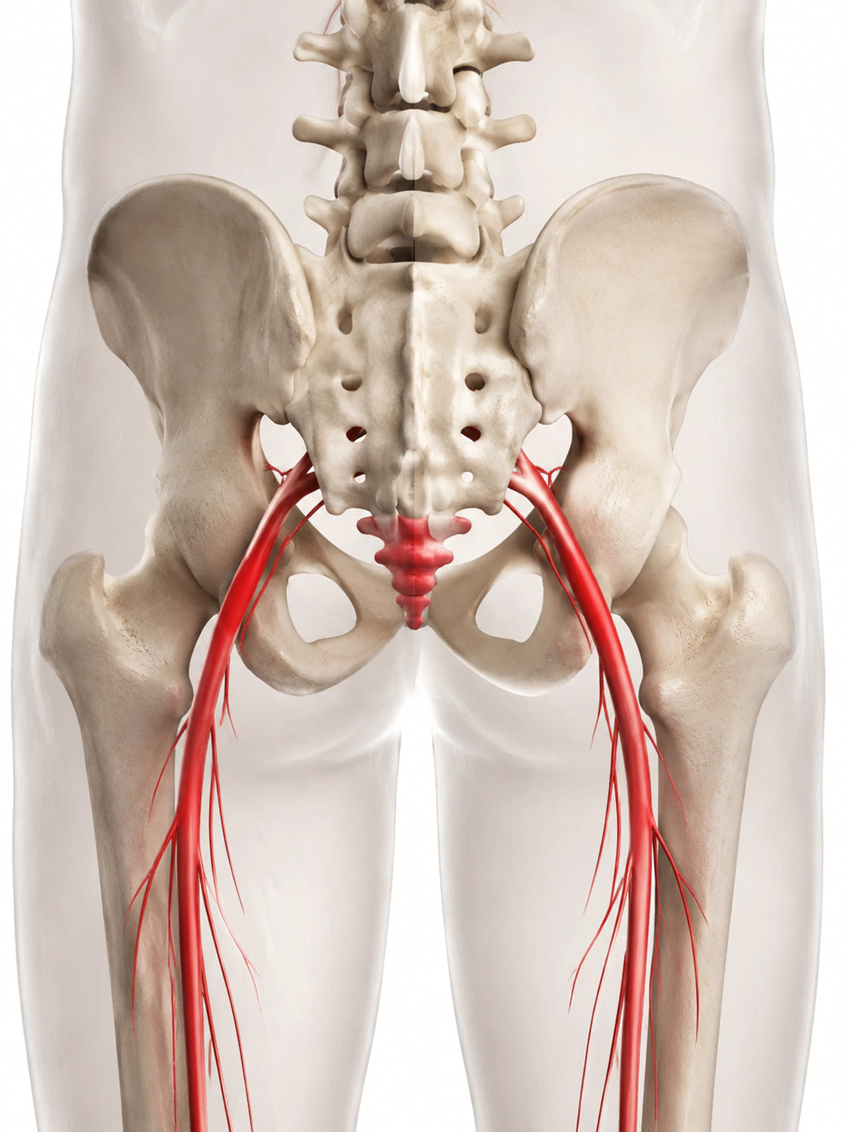 Close-up of skin and circulation