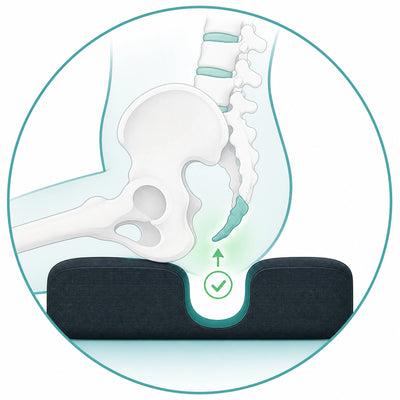 OFFLOAD the Tailbone