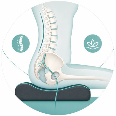 ALIGN the Spine