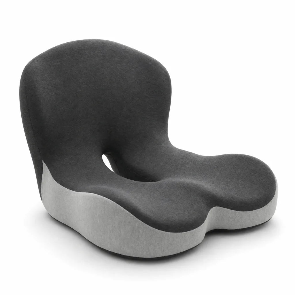 CELINVA Signature Hero: the connected charcoal-and-gray back-and-seat cushion on a clean white background.