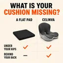 Basic support-category comparison: a flat pad under the hips versus CELINVA supporting hips and back.